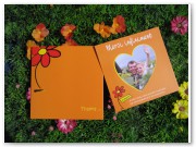 Quelques exemples de remerciements